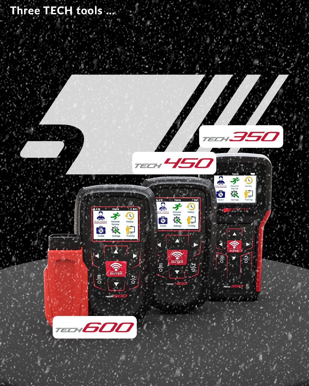 12 Days of Christmas but make it TPMS