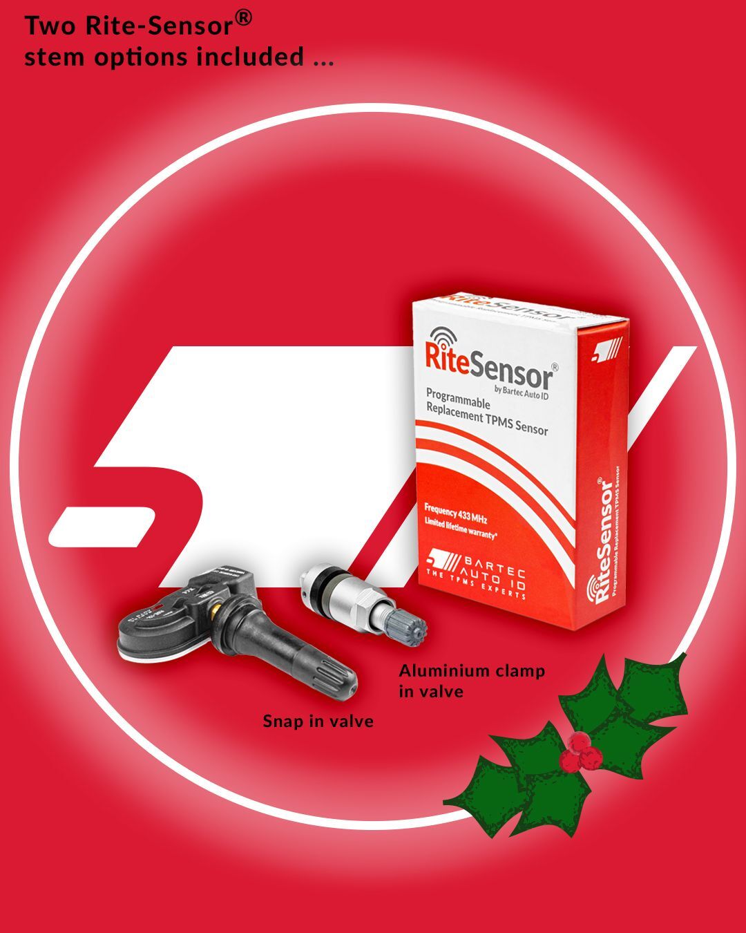 12 Days of Christmas but make it TPMS